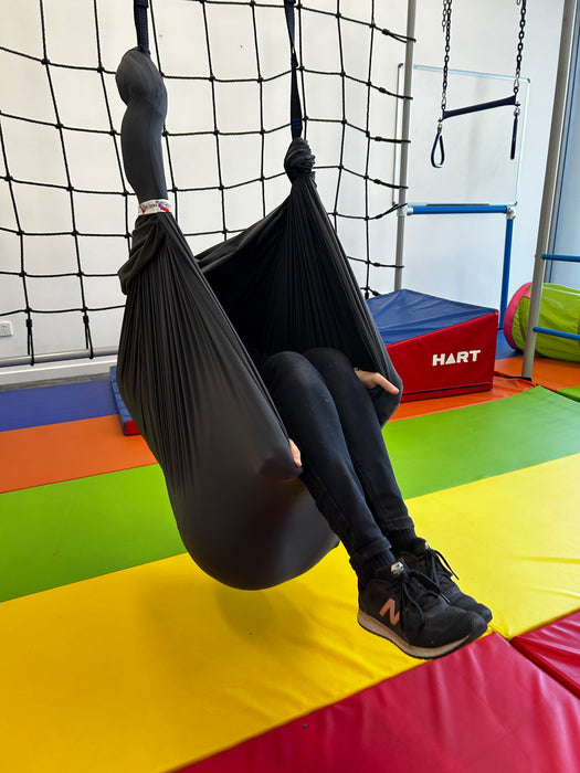 Therapy Swing
