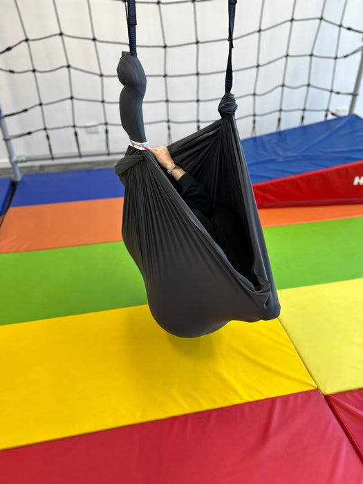 Therapy Swing