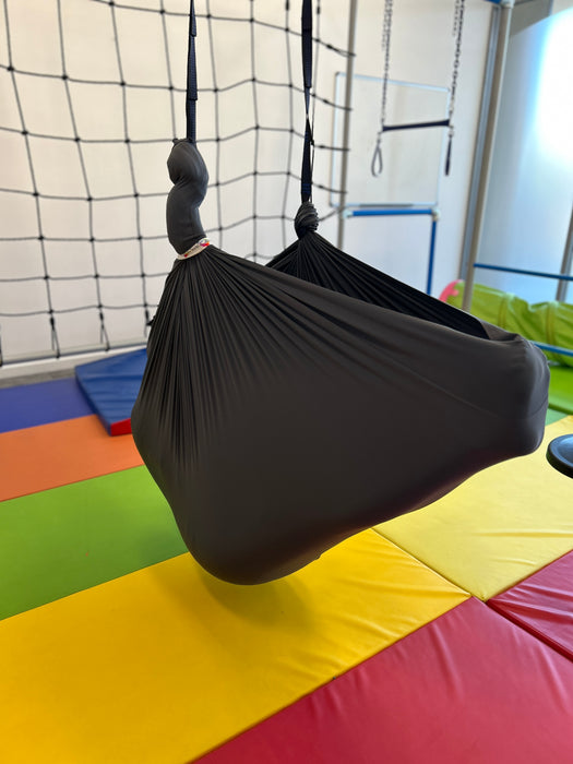 Therapy Swing