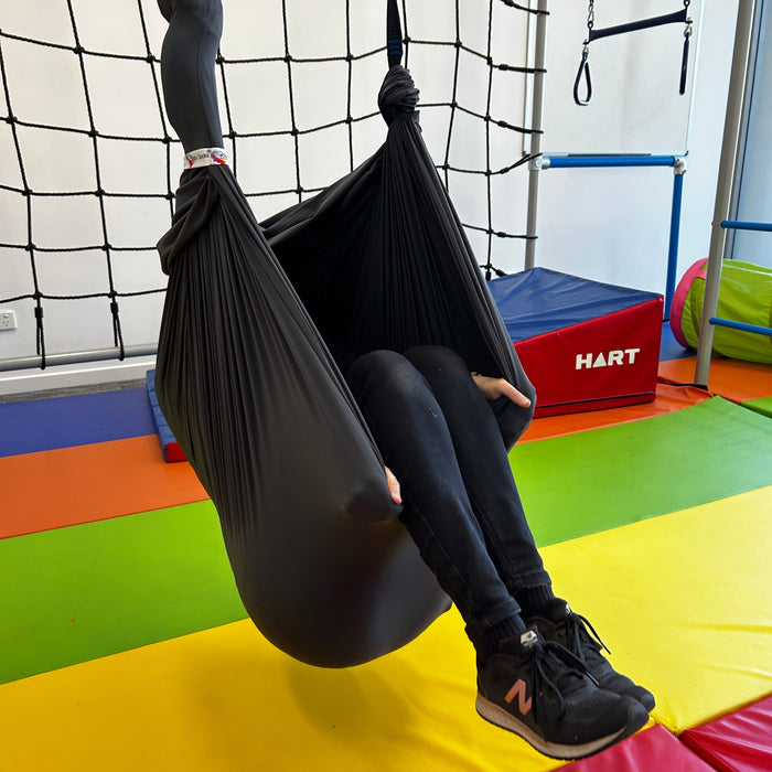 Therapy Swing