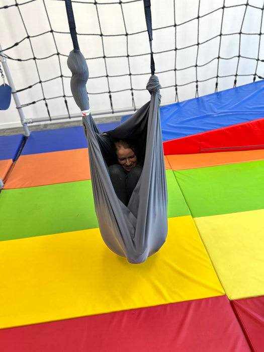 Therapy Swing